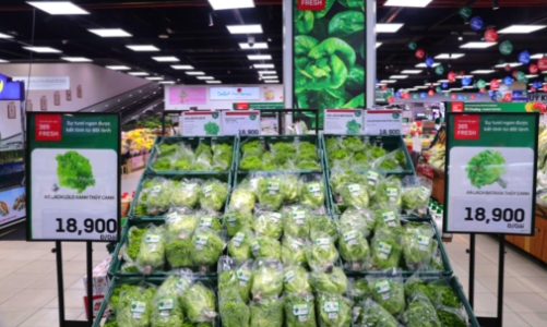 80% người tiêu dùng hiểu rõ về tiêu dùng xanh