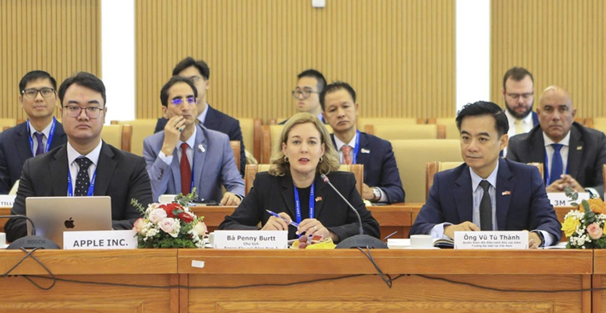 Bà&nbsp;Penny Burtt, Chủ tịch Boeing Khu vực Đông Nam Á, cho biết các doanh nghiệp Hoa Kỳ quan tâm hợp tác với phía Việt Nam ở nhiều lĩnh vực&nbsp;