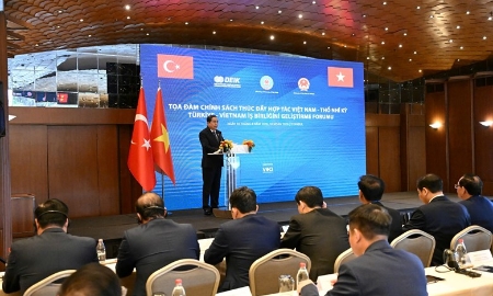 Việt Nam - Thổ Nhĩ Kỳ: Thúc đẩy hợp tác kinh tế - thương mại và đầu tư