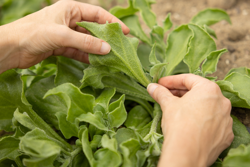 Công nghệ tiên tiến giúp nâng cao hiệu suất, tính linh hoạt, giảm khoảng 20% số lần thử nghiệm và đưa sản phẩm ra thị trường nhanh hơn.