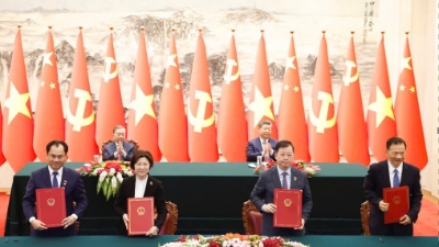 China officially opens market for Vietnamese pomelos and lemons