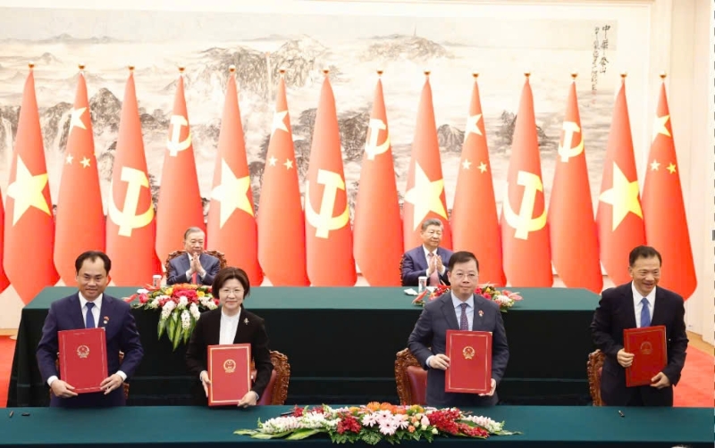 China officially opens market for Vietnamese pomelos and lemons