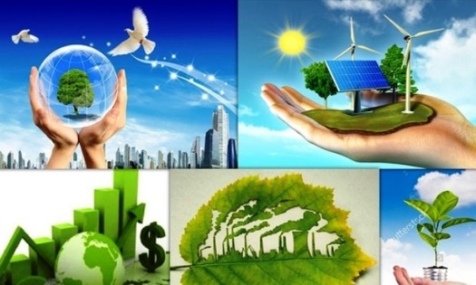 Phát triển kinh tế, xã hội và bảo vệ môi trường phải là trung tâm