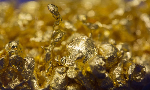 Giá vàng bị ghìm dưới mốc 4.800 USD/oz khi giá dầu và đồng USD tăng trở lại