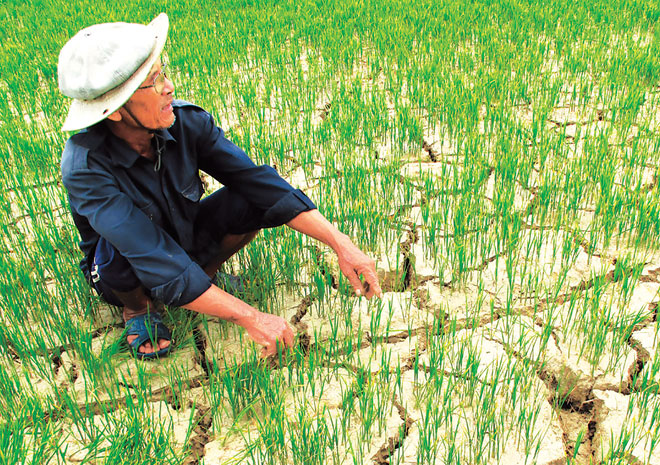 Cảnh báo nguy cơ cao xảy ra hạn hán và xâm nhập mặn, nhất là tại khu vực Nam Trung Bộ, Tây Nguyên và đồng bằng sông Cửu Long trong mùa khô 2026- 2027. Ảnh minh họa