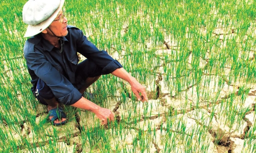 Cảnh báo nguy cơ thiếu hụt nguồn nước do El Nino ngay từ giữa năm 2026