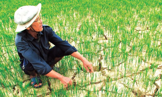Cảnh báo nguy cơ cao xảy ra hạn hán và xâm nhập mặn, nhất là tại khu vực Nam Trung Bộ, Tây Nguyên và đồng bằng sông Cửu Long trong mùa khô 2026- 2027. Ảnh minh họa