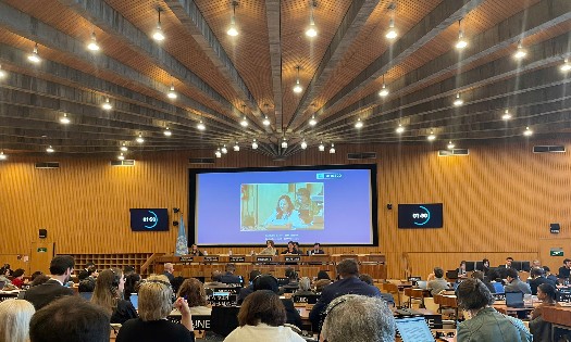 Toàn cảnh Kỳ họp lần thứ 224 Hội đồng chấp hành UNESCO tại Paris - Ảnh: MST. 
