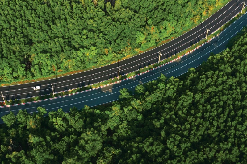 A key to sustainable development