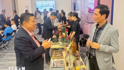 Vietnam, Singapore strengthen ties in green growth and sustainable commerce