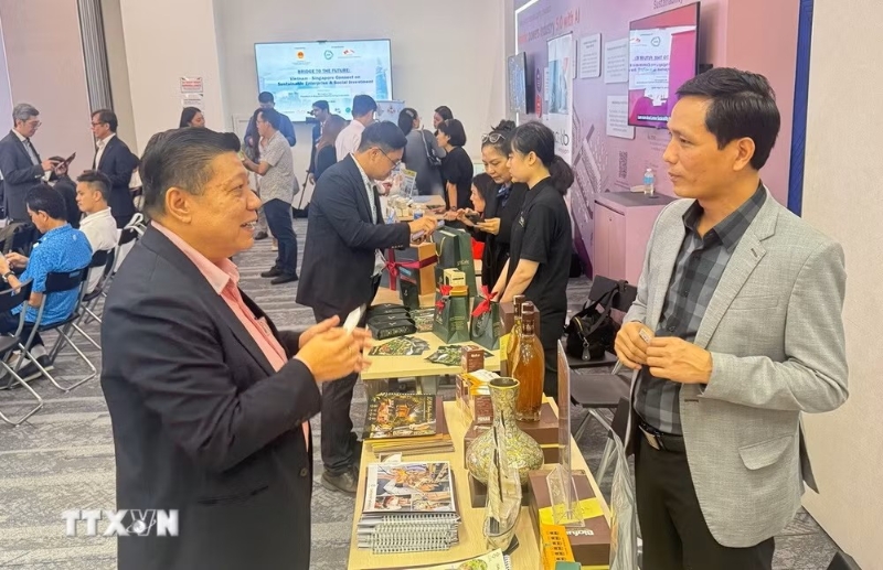 Vietnam, Singapore strengthen ties in green growth and sustainable commerce