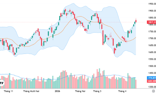 Xu thế dòng tiền: Áp lực rung lắc mạnh là cơ hội lựa chọn cổ phiếu