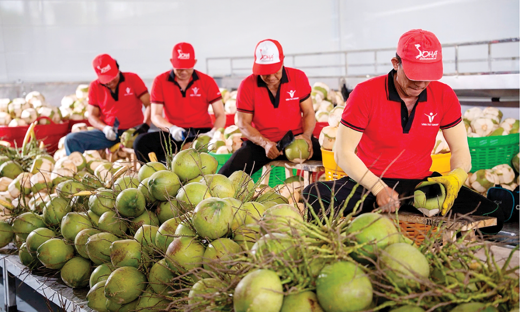 Xuất khẩu rau quả hướng tới mục tiêu 10 tỷ USD