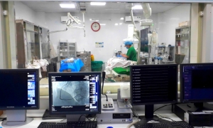 Mạch máu khỏe là gốc rễ của sự sống