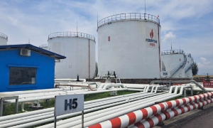 Hải Phòng: Miễn phí sử dụng các công trình, cảng biển cho xăng, dầu, khí đến hết 2026