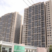 Đà Nẵng thành lập Ban Chỉ đạo về chính sách nhà ở và thị trường bất động sản