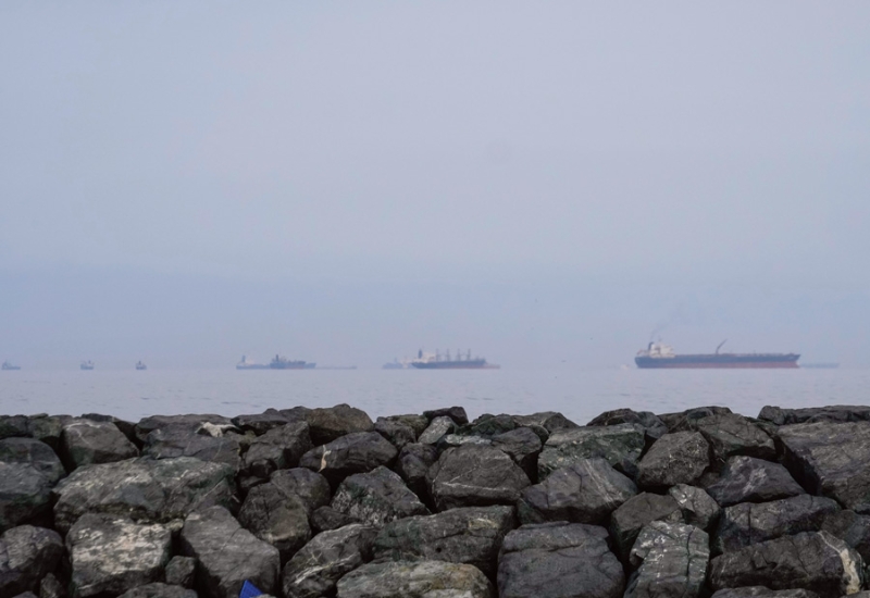 To ensure long-term energy security for Vietnam 