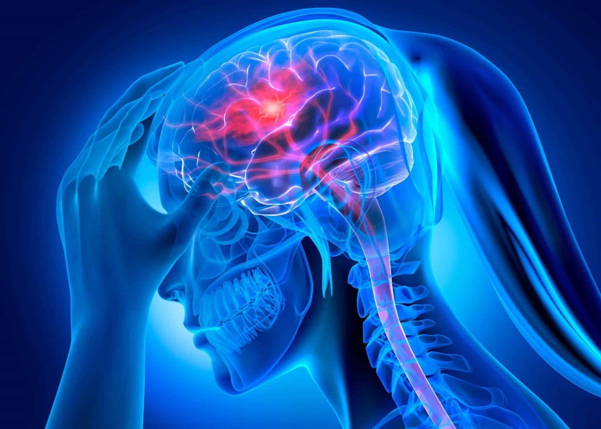 Hệ mạch máu của người trẻ đang bị tàn phá sớm bởi lối sống hiện đại, đặc biệt là sự “xâm lăng” của đường và stress.