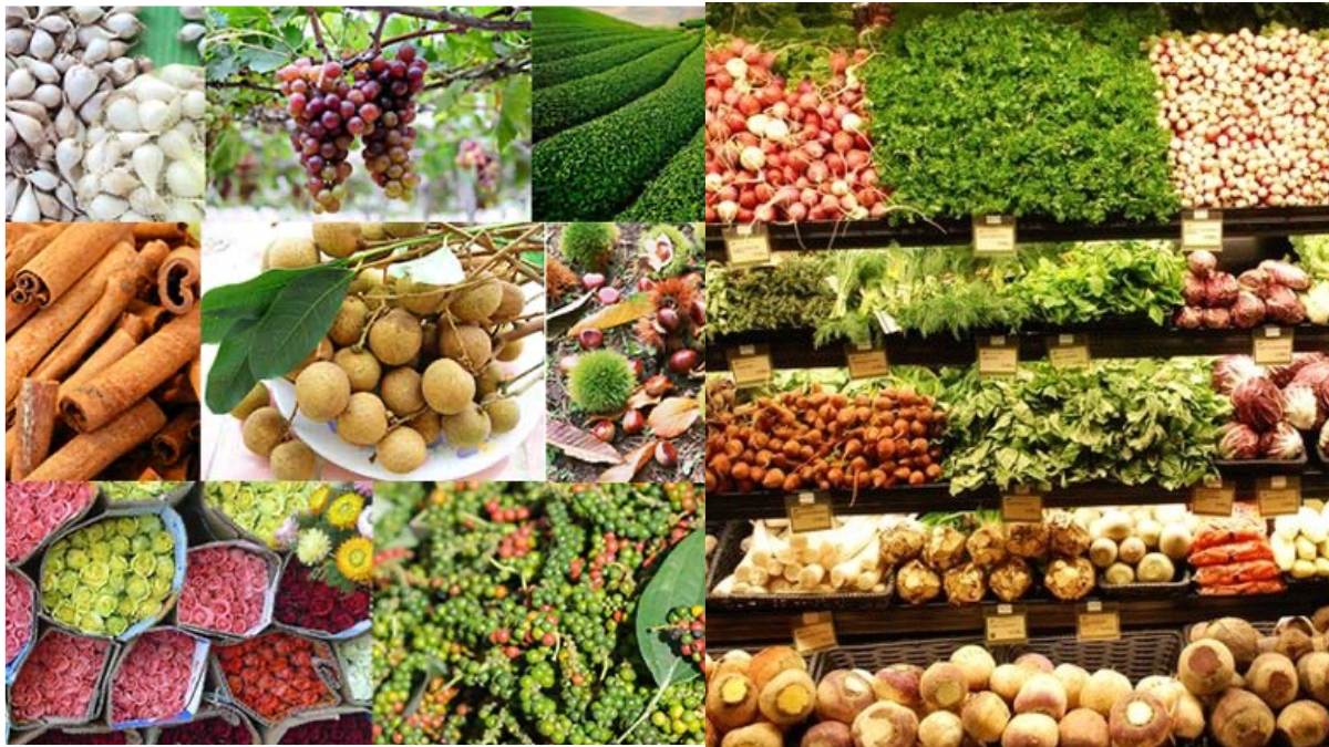 Tận dụng được sức mạnh cộng hưởng để đưa thương hiệu Việt vươn xa toàn cầu.