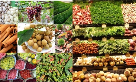 Tận dụng được sức mạnh cộng hưởng để đưa thương hiệu Việt vươn xa toàn cầu.
