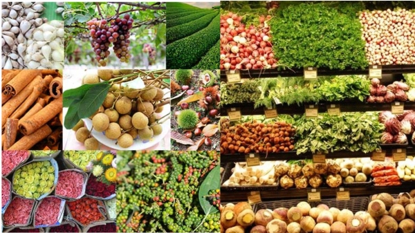 Thương hiệu quốc gia Việt Nam cần thêm nội lực để vươn tầm 