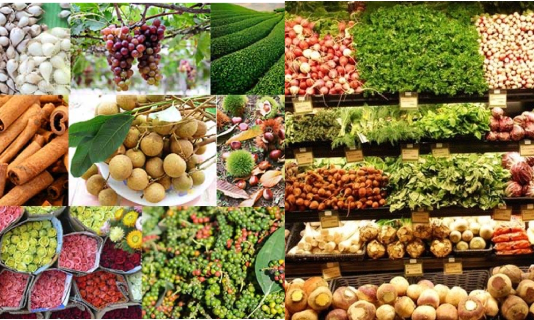 Thương hiệu quốc gia Việt Nam cần thêm nội lực để vươn tầm 