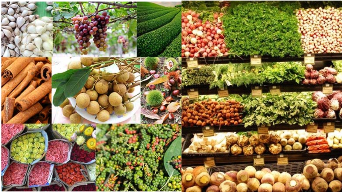 Tận dụng được sức mạnh cộng hưởng để đưa thương hiệu Việt vươn xa toàn cầu.