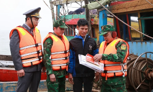 [Bài 5] Giữ gìn hệ sinh thái biển