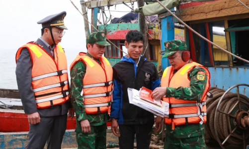 [Bài 5] Giữ gìn hệ sinh thái biển 