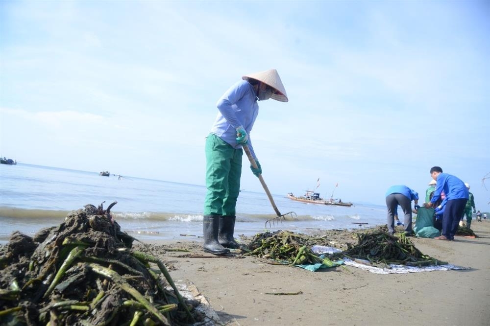 Người dân địa phương cùng tham gia dọn rác làm sạch biển Sầm Sơn