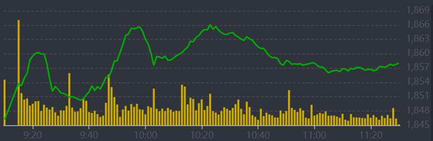 Diễn biến VN-Index sáng nay.
