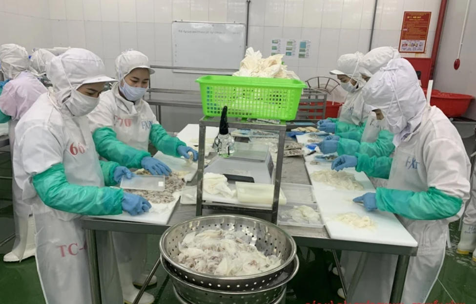 Sản xuất chả cá xuất khẩu tại Công ty TNHH Xuất nhập khẩu thủy sản FXPT