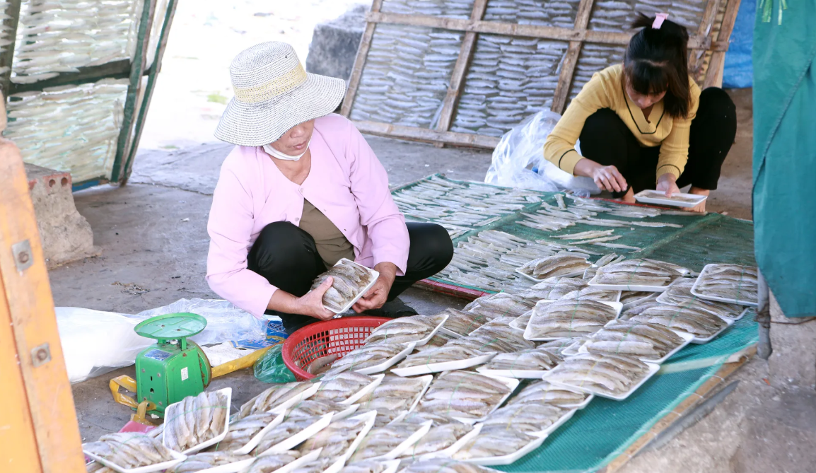 Phụ nữ làng biển Diêm Phố, xã Vạn Lộc, Thanh Hoá sơ chế hải sản, làm công tác hậu cần nghề biển...