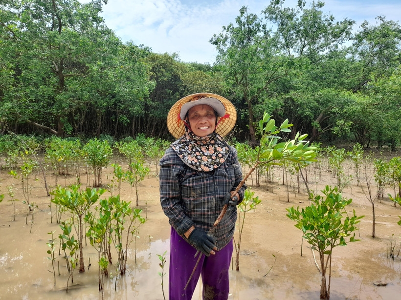 Cô Bùi Thị Dìn ở xã Vạn Lộc tự hào khi đã tự tay trồng hàng nghìn cây ngập mặn chắn sóng, chắn bão ven biển