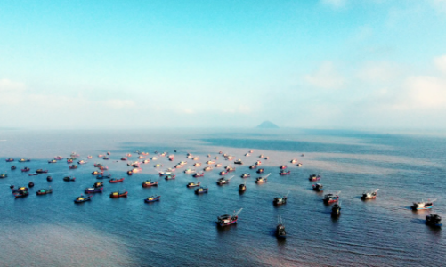 [Bài 1] Thủy sản ngành kinh tế mũi nhọn tại 