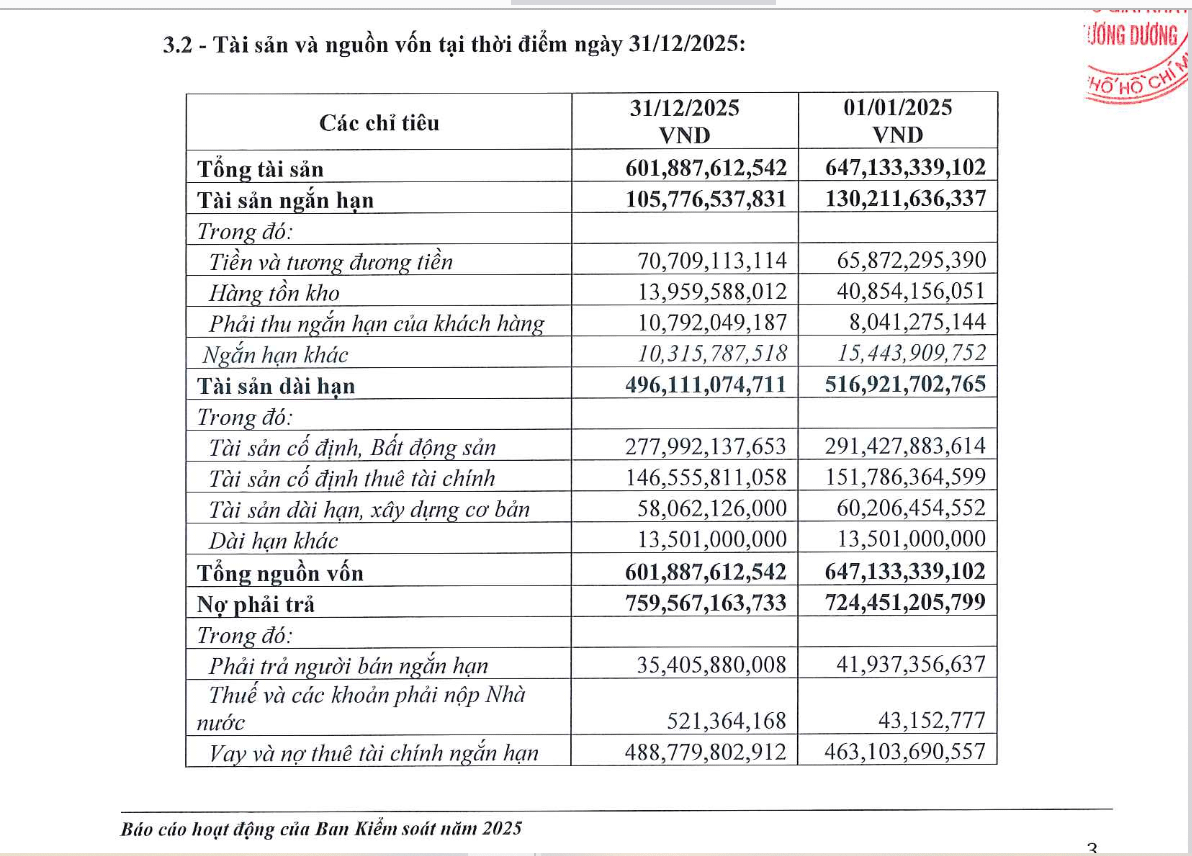 SCD thua lỗ liên tục 5 năm, nguy cơ không còn tiền để hoạt động - Ảnh 1