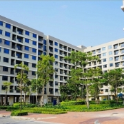 TP. Hồ Chí Minh tháo gỡ “nút thắt” pháp lý và tín dụng để khơi thông nhà ở xã hội