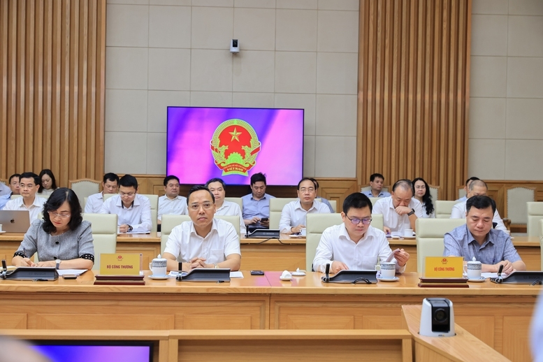 Các đại biểu tham dự cuộc làm việc - Ảnh: VGP