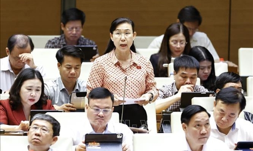 Bảo đảm tiêu chuẩn và chất lượng công việc của đội ngũ luật sư công