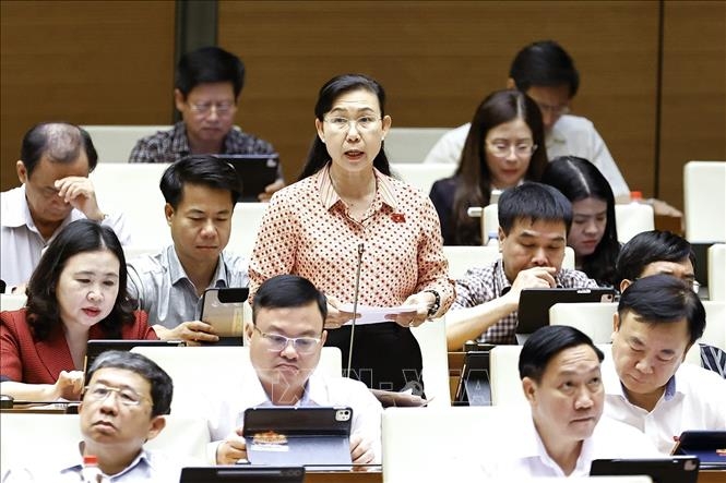 Đại biểu Quốc hội tỉnh Tây Ninh Phan Thị Mỹ Dung phát biểu. Ảnh: TTXVN.