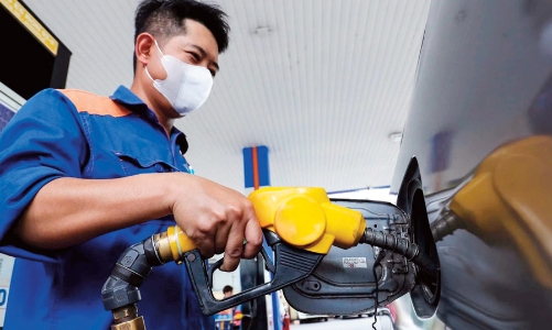 Consequences resulting from fuel price rises 