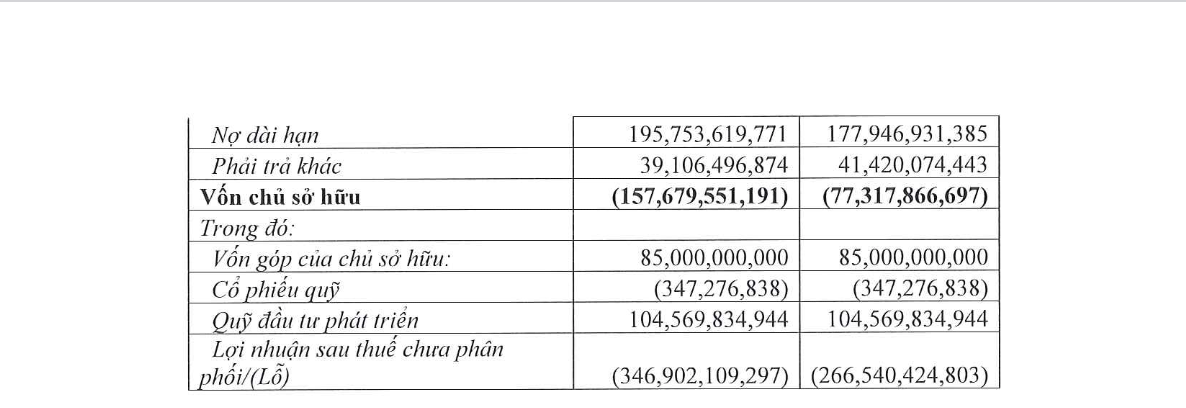 SCD thua lỗ liên tục 5 năm, nguy cơ không còn tiền để hoạt động - Ảnh 2