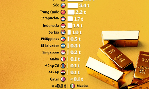 Toàn cảnh mua bán vàng của các ngân hàng trung ương trong 2 tháng đầu năm 2026