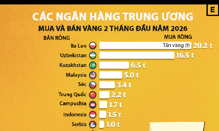 Toàn cảnh mua bán vàng của các ngân hàng trung ương trong 2 tháng đầu năm 2026
