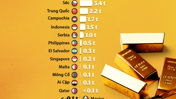 Toàn cảnh mua bán vàng của các ngân hàng trung ương trong 2 tháng đầu năm 2026