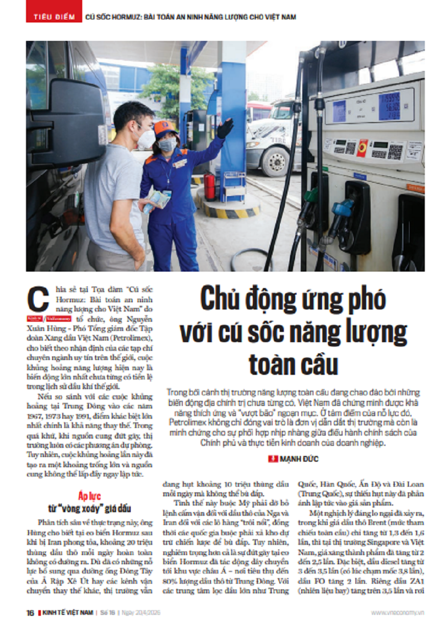 Chủ động ứng phó với cú sốc năng lượng toàn cầu - Ảnh 1