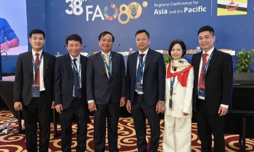 Chuyển đổi kép là động lực then chốt để bảo đảm an ninh lương thực