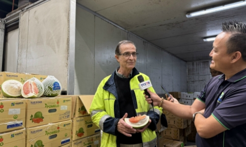 Việt Nam xuất khẩu thành công lô bưởi tươi đầu tiên sang Australia