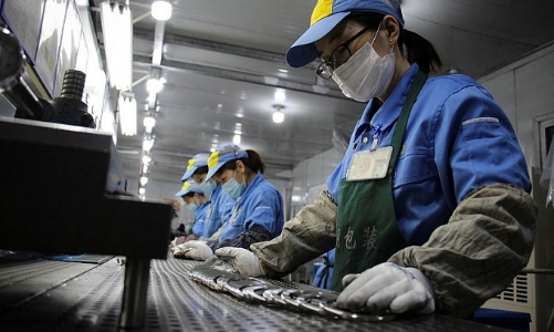 Hơn 840.000 người tử vong mỗi năm vì căng thẳng trong công việc 