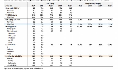 Cổ phiếu thép: Rủi ro dư cung trong dài hạn là điều cần theo dõi